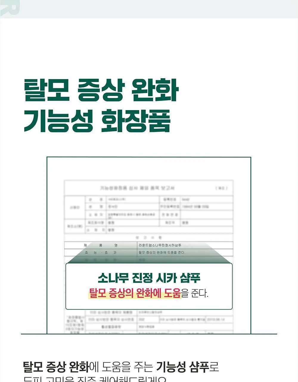 [탈모완화] 라운드랩 소나무 진정 시카 샴푸 400ml 상세페이지 14